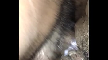 Prego puss Prego puss