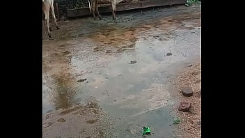 Verification video Verification video