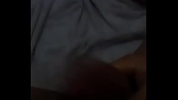 Novinho Novinho