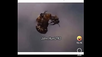 Lmmfao️ update #3 2025 01 09t02 43 43 000z Lmmfao️ update #3 2025 01 09t02 43 43 000z