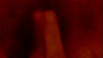 Wp 20170325 001 Wp 20170325 001