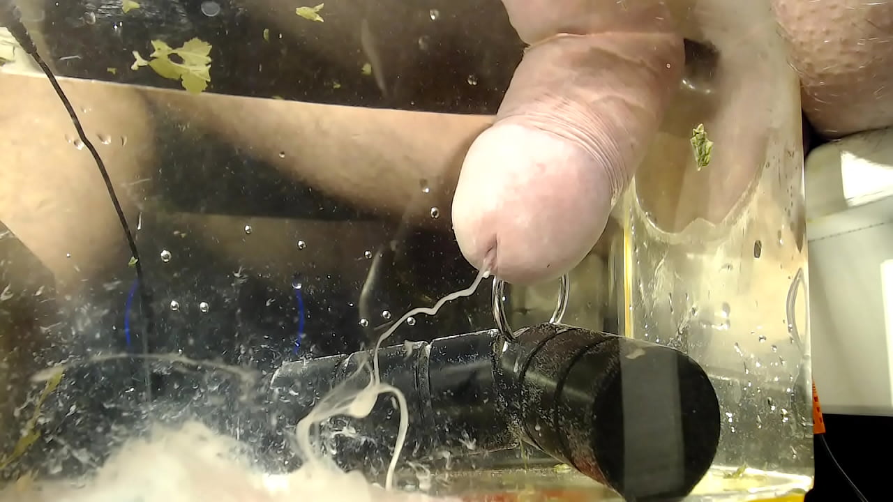 Electric Stimulation Of My Penis With Cumshot - Indoxtube