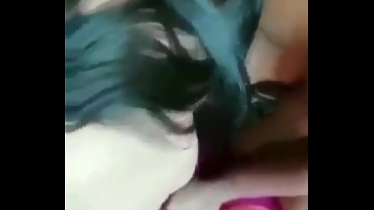 Fiji suva | bokeptube