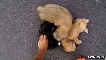 Puppy love