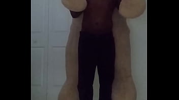 Taking turns stretching like my other scorpio zodiac animal from astrology a spider similar to stretching like a cancers zodiac animal a crab with toy bear 1