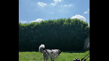 ️ alex the monkey's today i tried to cut the grass i don't know if i won but the grass definitel