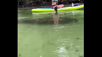 Yesterday i got to paddle beside this big girl for most of the river so fun hanging out with manatees
