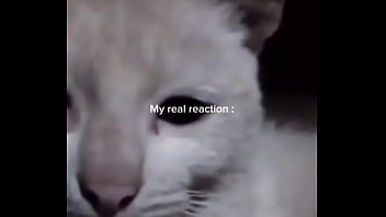 ¿que hago con mi vida