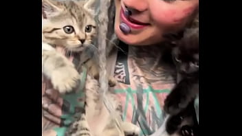 More kittens chilling with me how many kittens are too many #kittens #chillvibes #catlove #psylandbodysuit #inked