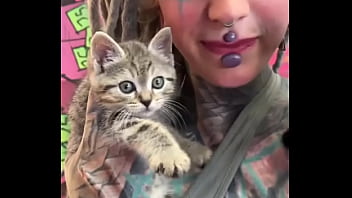 Sweet little kittens on my arm what’s your favorite way to bond with youts #kittencuddles #felinefriends #