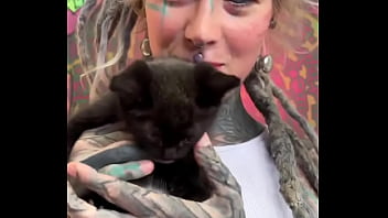 Kittens kittens kittens what’s your favorite kitten moment #kittenobsession #furry #cuddlebuddies #inkedmode