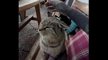 Running with lily-lu-filmz and the cat makes break time so sweet ️who’s your favorite running companion #runn