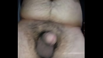 cute fat bear gay