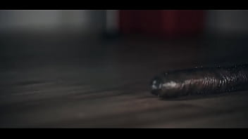 all the way through hentia vids