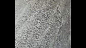 waptrick black ebony pussy wet