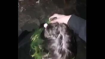 female doctoe sex