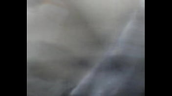 sauna lion sex video xxx