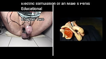 japnis mama teach sex how the works