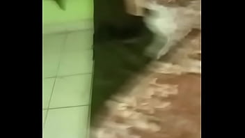 luscious lopez public