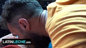 free gay hentai english sub