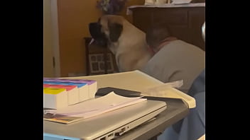 fat old bag fucked