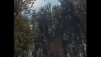 dutch brothel nude