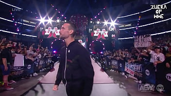 wwe superstars of porn