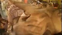 Sexy girls are working in a local night club and often