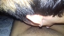 leke louco por rola me chupando m.