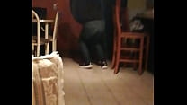 Cucaracha