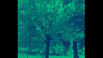 Songs that sampled inshot video editor app in green night vision 2