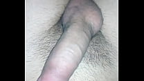 Corninho