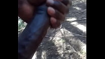 Scavenger Hunt For Black Cock