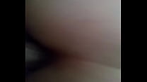 Mi mosita