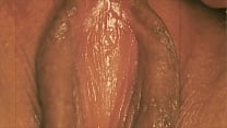 The Top 20 'Closeups'