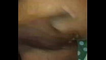 Bull screws slut pussy at hotel