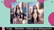 SlideShot (free game itchio) Puzzle