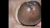 Dick Pulling