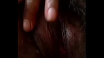 Panocha peluda