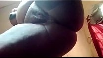 www.dogpiggy.com