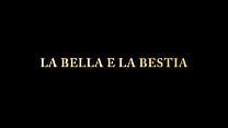 The beauty and the beast