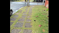 Caminhada matinal , para quem ama conteúdos com legging e roupas coladas, meu vip está cheinho de vídeos e fotos com minhas roupinhas sensuais de academia!