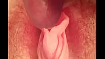 IMG 0253