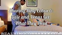 Happy What We Need Wednesday:Hot New Content Alert!Sharing King Cobra 6: What We Need feat. Sexy Milfs ...