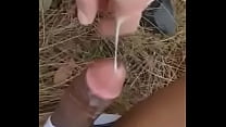 Delicia de gozada
