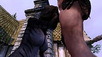 Skyrim: Traveller Fucks Prostitue Khajiit