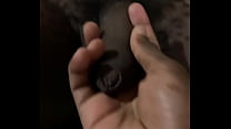 Brincando agora com o pau do cafuçu.#cafucu #mavambo #pentelho