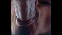 LOTS OF COCKS AND CUMSHOTS FROM RANDOM GUYS ON THE BEACH IN MASPALOMAS GRAN CANARIA!!!