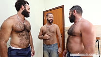 three very hairy men having an orgy