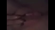 IMG 0337 (1).MOV